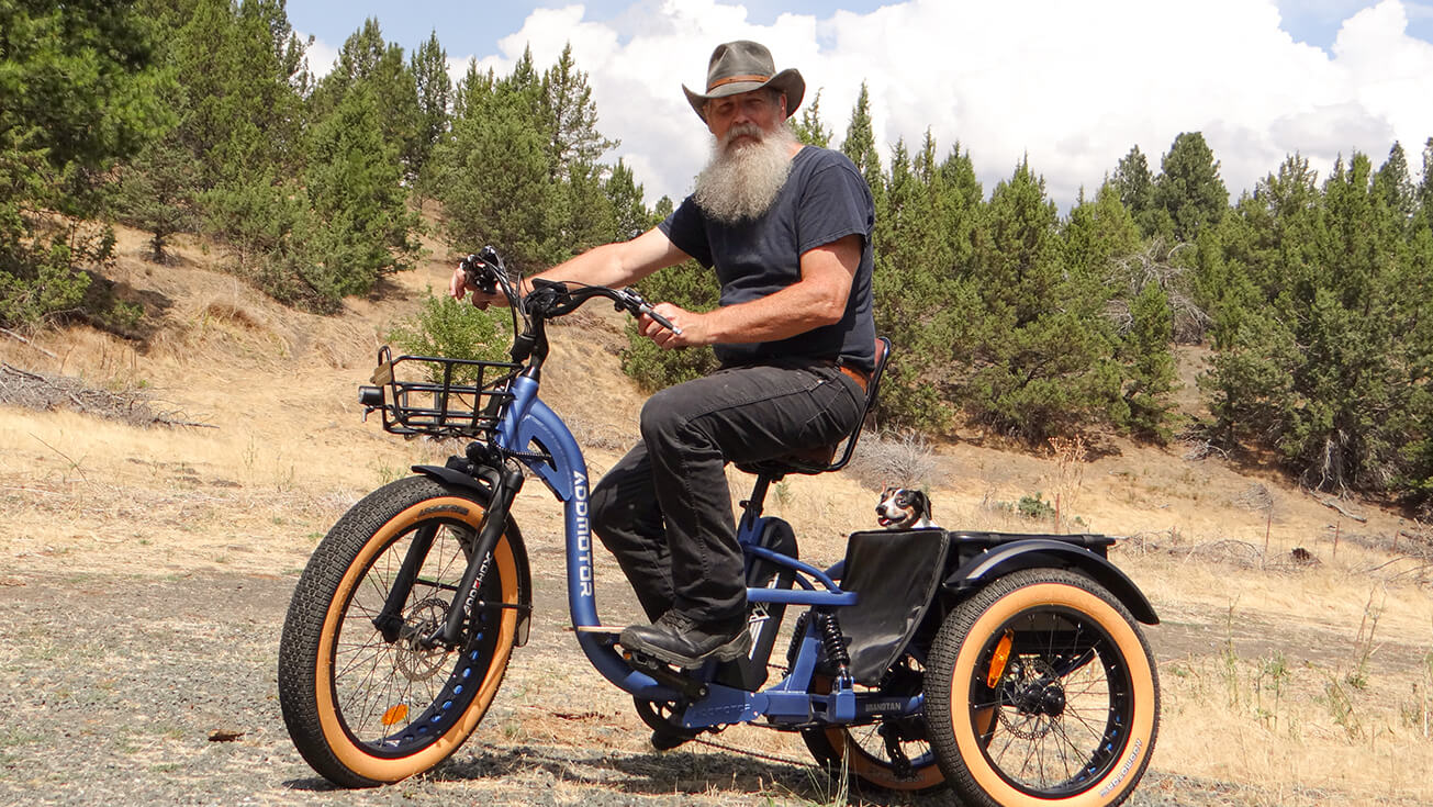 full suspension electric trike for seniors